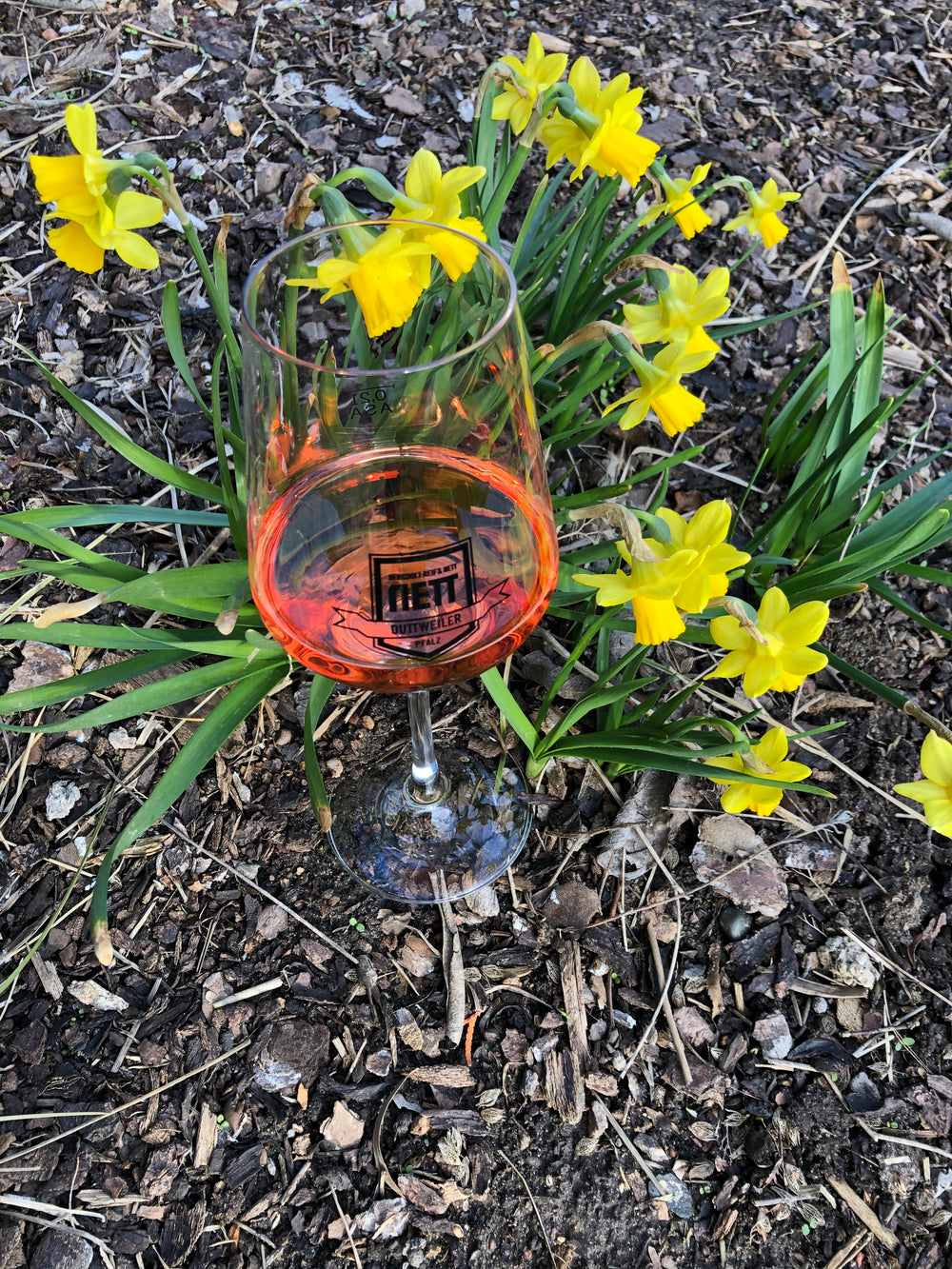 Das Rosé-Vielfalt - Paket mit 6 Flaschen