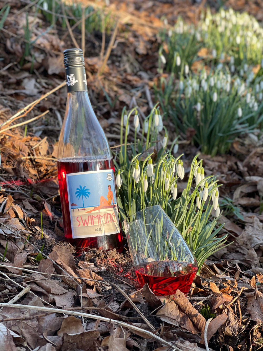 Das Rosé-Vielfalt - Paket mit 6 Flaschen